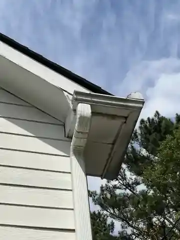 Gutter fascia and soffit condition documented on the same property