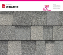 Duration STORM® Antique Silver shingle texture